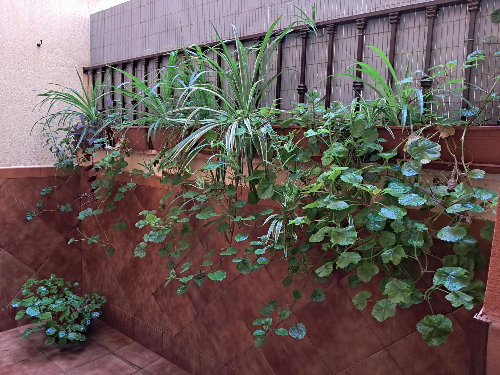 Apartamento La Reina Cordoba Exterior photo
